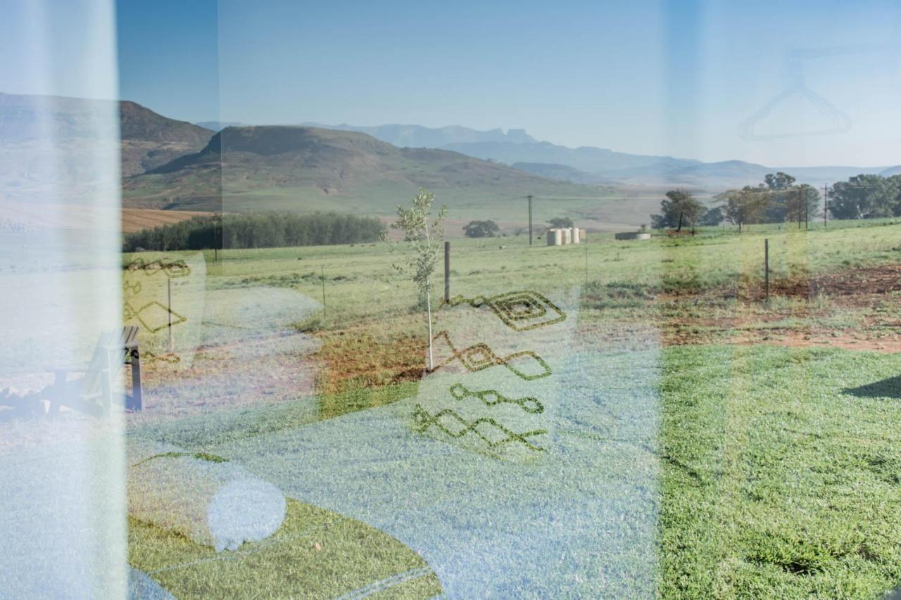 Kezlyn Farm Cottages Bergville Bagian luar foto
