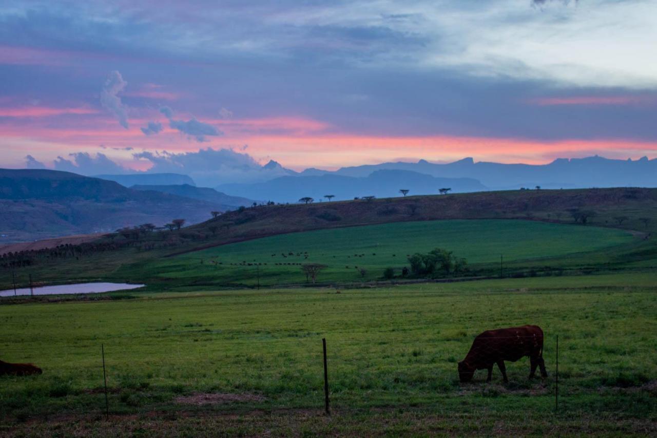 Kezlyn Farm Cottages Bergville Bagian luar foto